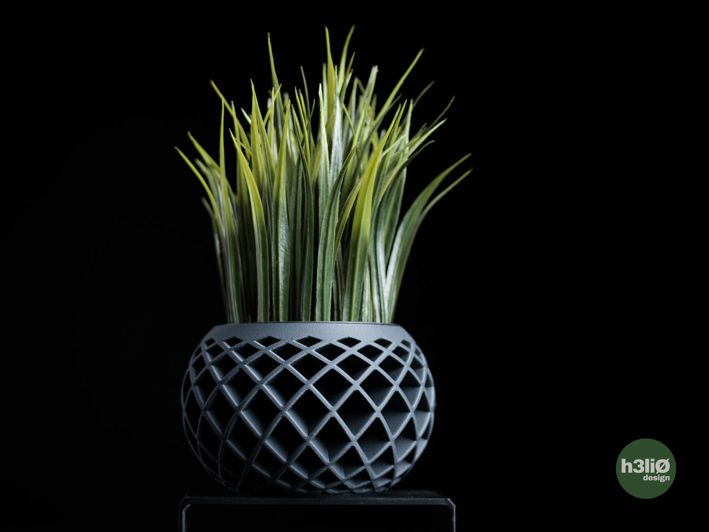 Evolve · planter