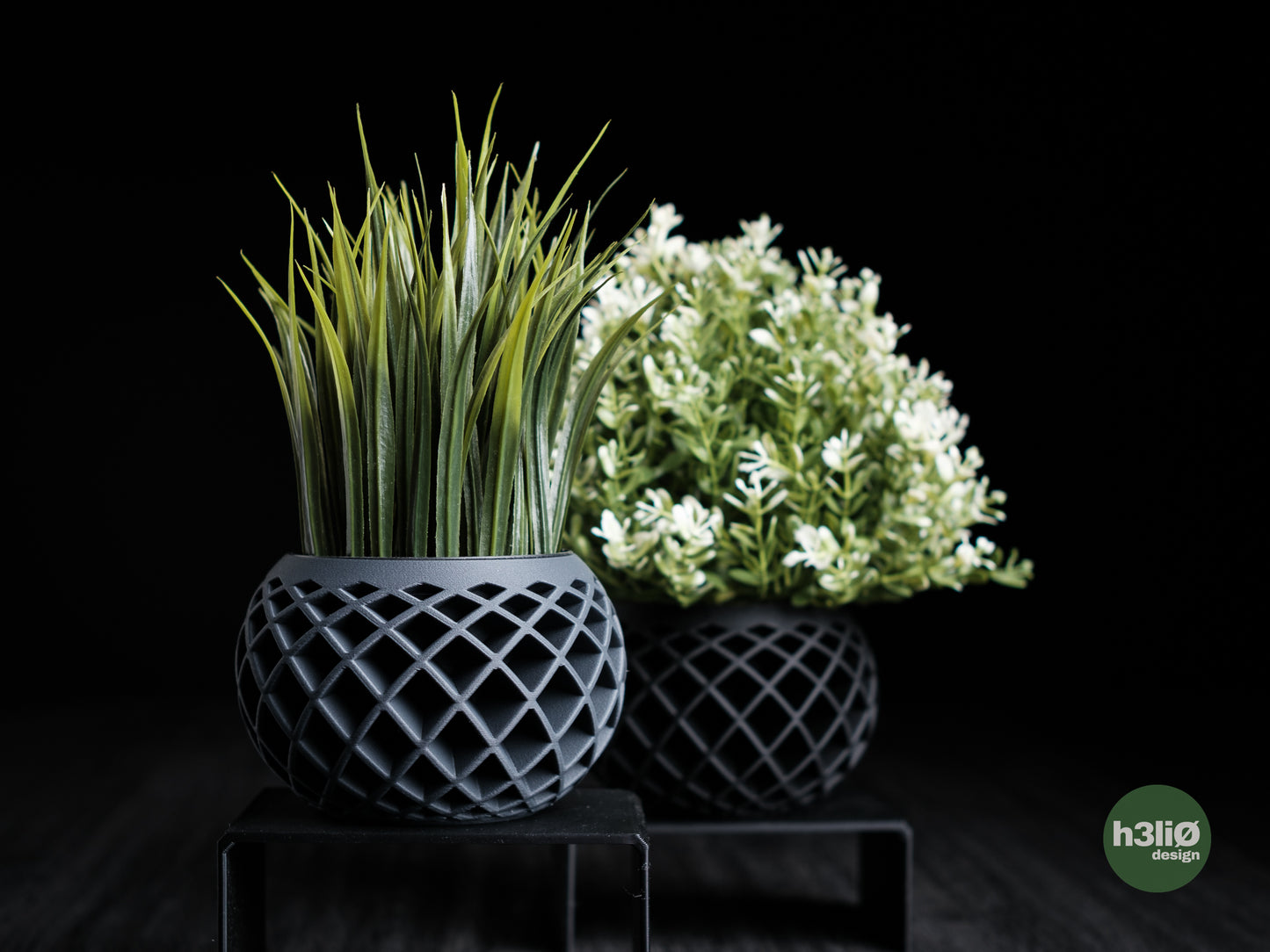 Evolve · planter
