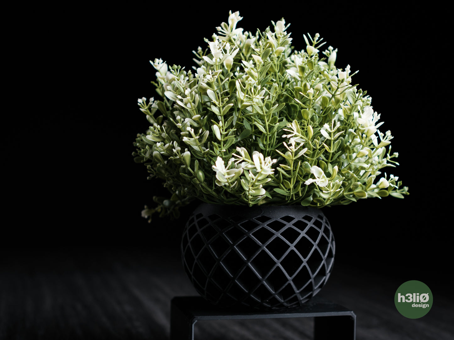 Evolve · planter