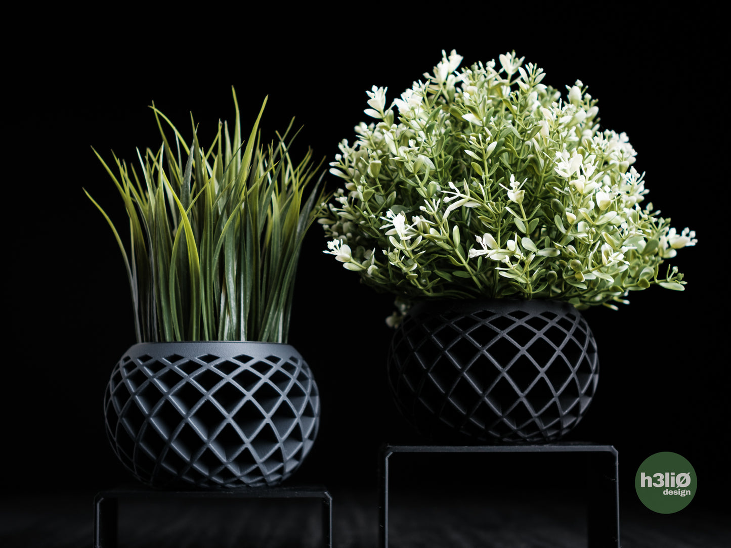 Evolve · planter