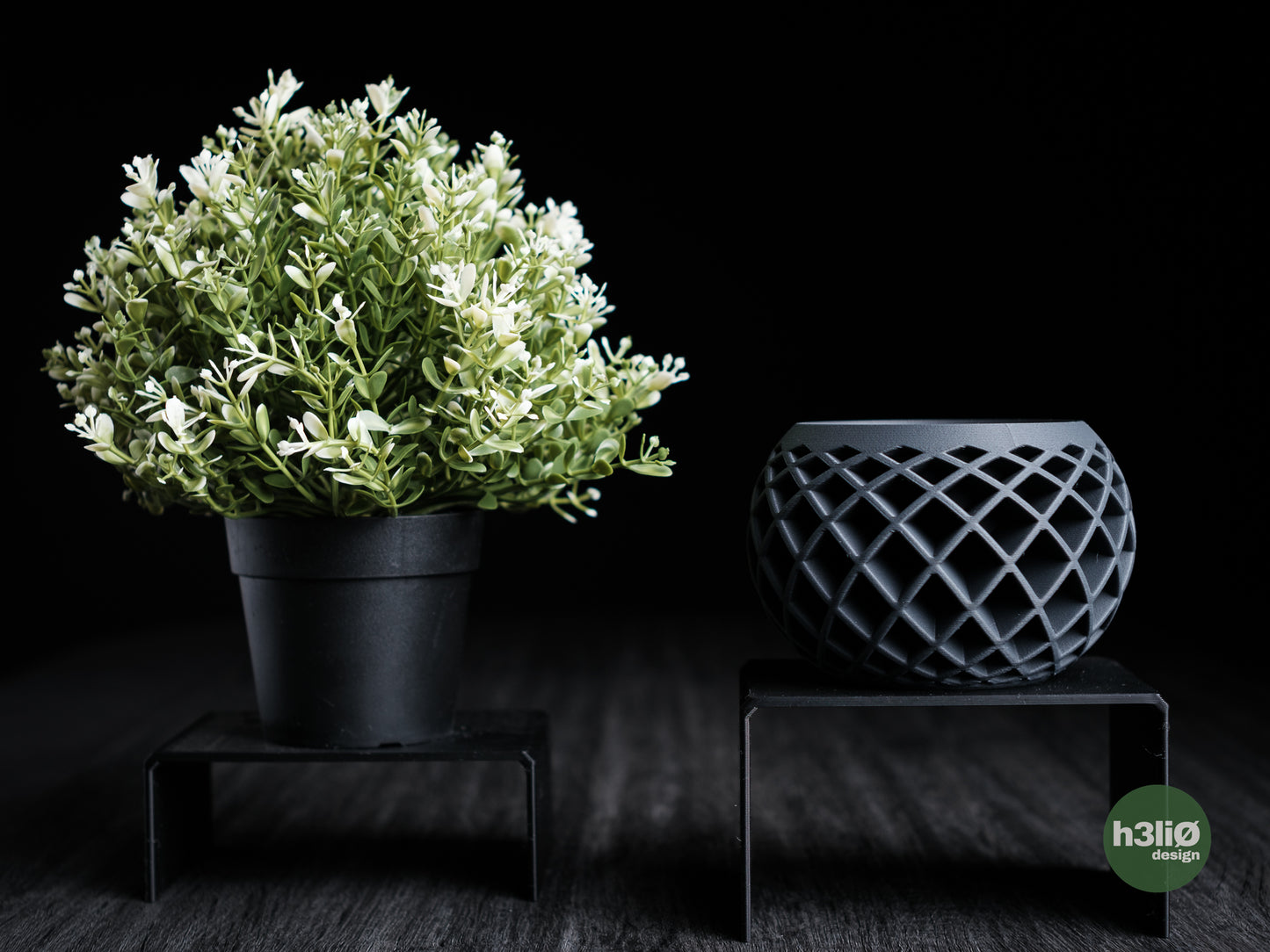 Evolve · planter