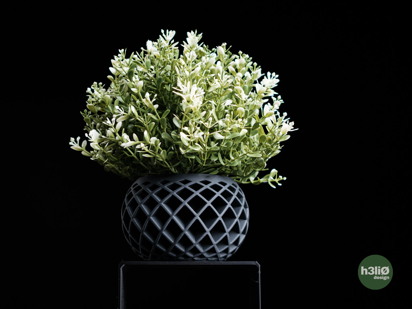 Evolve · planter