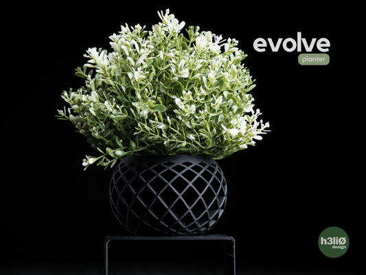Evolve · planter