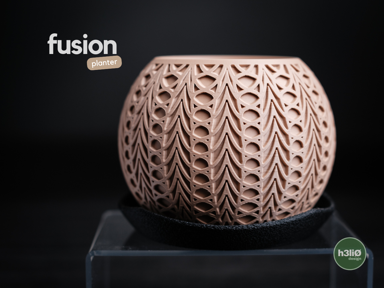 Fusion · planter