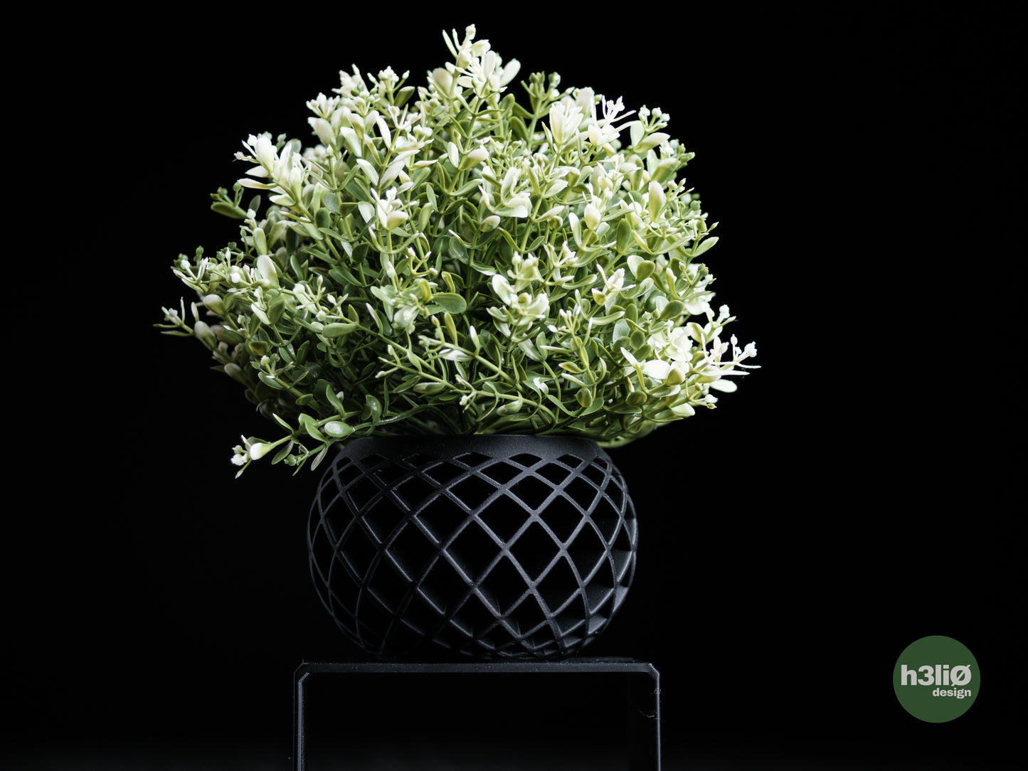Evolve · planter
