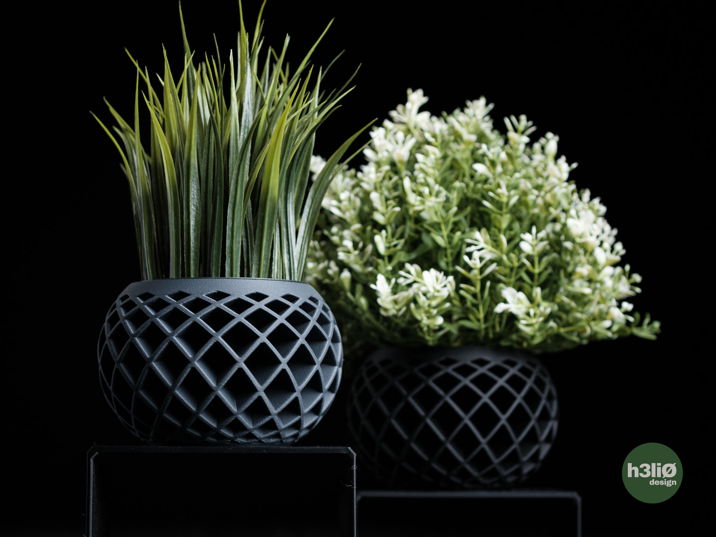 Evolve · planter